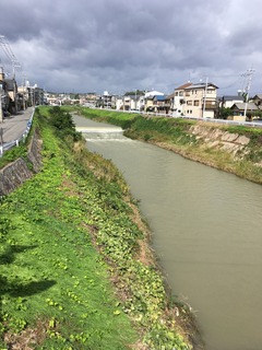 IMG_3776.JPG