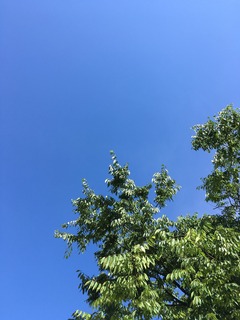 IMG_6342.JPG
