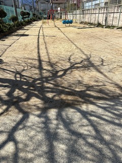 IMG_8572.jpg