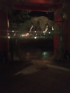 IMG_9867.JPG