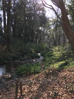 image0 (1).jpeg