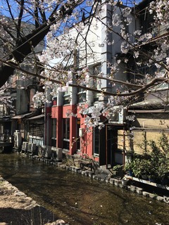 image0 (2).jpeg