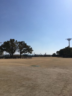 image1.jpeg