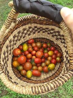 image1.jpeg