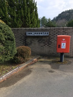 image1.jpeg