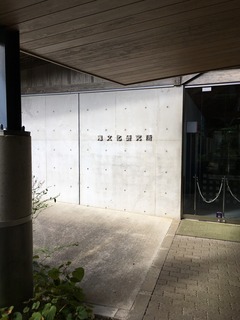 image11.jpeg